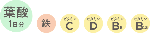 葉酸・鉄・ビタミンC・ビタミンD・ビタミンB6・ビタミンB12